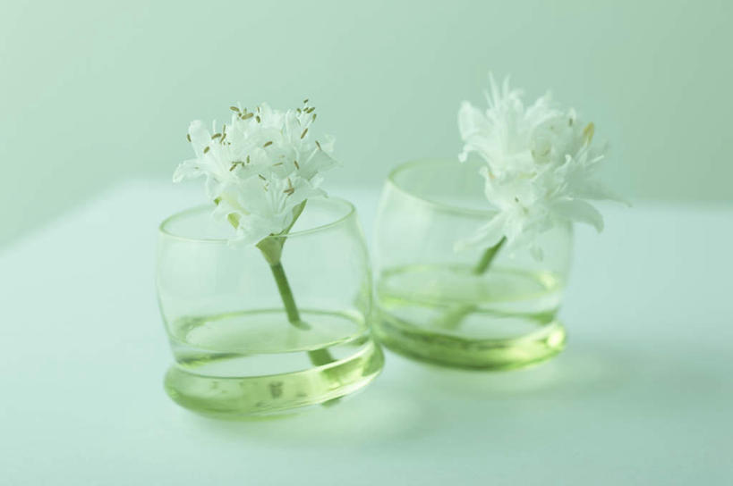 无人,横图,室内,特写,白天,正面,桌面,桌子,百合花,静物,杯子,朦胧,模糊,盛开,木制,花蕾,玻璃制品,花,花瓣,花朵,鲜花,两朵,两个,白色,木制品,水杯,花苞,花蕊,强瞿,百合蒜,倒仙,番韭,山丹,玻璃杯,彩图