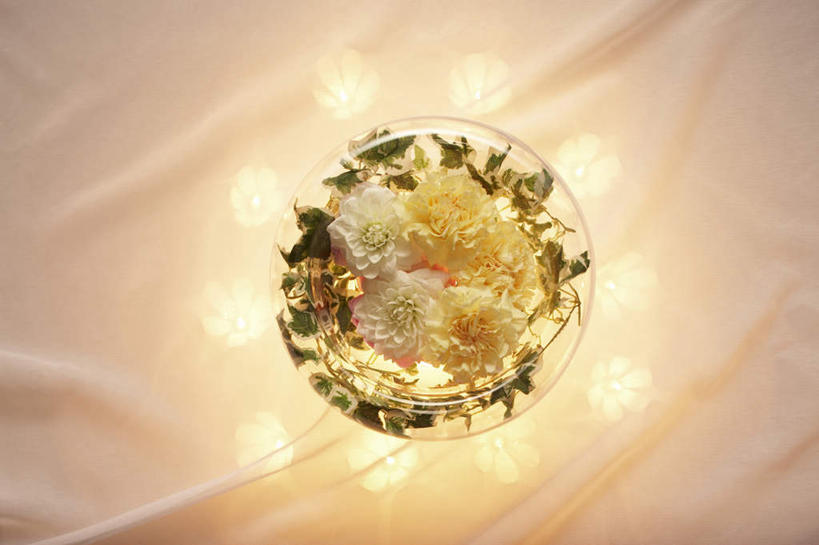 无人,横图,俯视,室内,特写,白天,白色背景,一排,许多,朦胧,模糊,整齐,盛开,花蕾,花,花瓣,花朵,鲜花,排列,黄色,白色,花苞,花蕊,摄影,影棚,队列,彩图,高角度拍摄,影棚拍摄,拍摄