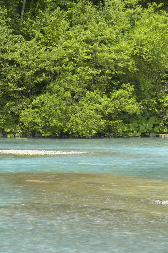 无人,竖图,室外,白天,正面,旅游,度假,草地,草坪,河流,美景,水,植物,北海道,日本,亚洲,阴影,朦胧,模糊,光线,影子,河水,景观,水流,娱乐,草,绿色,阳光,自然,享受,休闲,景色,放松,自然风光,东亚,日本国,北海道地方,北海道岛,美瑛町,美瑛,彩图