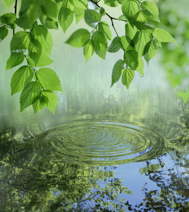 无人,竖图,俯视,室外,白天,旅游,度假,美景,水,植物,阴影,朦胧,模糊,反射,液体,影子,景观,水滴,娱乐,树,树木,绿色,自然,享受,休闲,景色,放松,生长,成长,自然风光,彩图,高角度拍摄