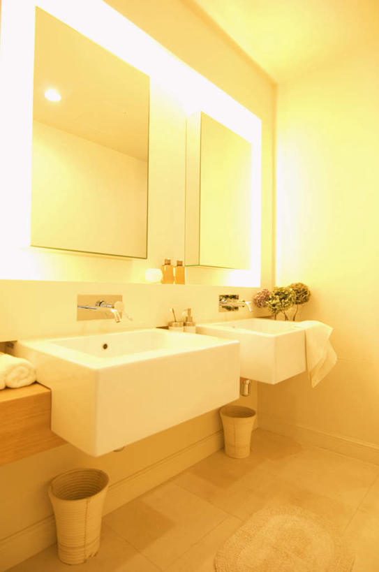 无人,家,竖图,室内,白天,正面,植物,家具,镜子,卫生间,洗手间,装修,建筑,照明,阴影,环保,装饰,反射,壁灯,瓷砖,地砖,盆栽,水龙头,影子,房屋,屋子,水池,公寓,灯光,垃圾桶,盆景,地面,古典,建设,装潢,洋房,楼房,住宅,灯,两个,绿色,自然,容器,灯具,室内装潢,中式,生长,成长,储藏,垃圾箱,明亮,照亮,回收,镜像,资源,舒适,家居装潢,镜面,照明设备,储存,房屋设计,利用,室内设计,低碳,宽敞,循环,样板房装潢,设计,厕所,彩图,房子,贮存