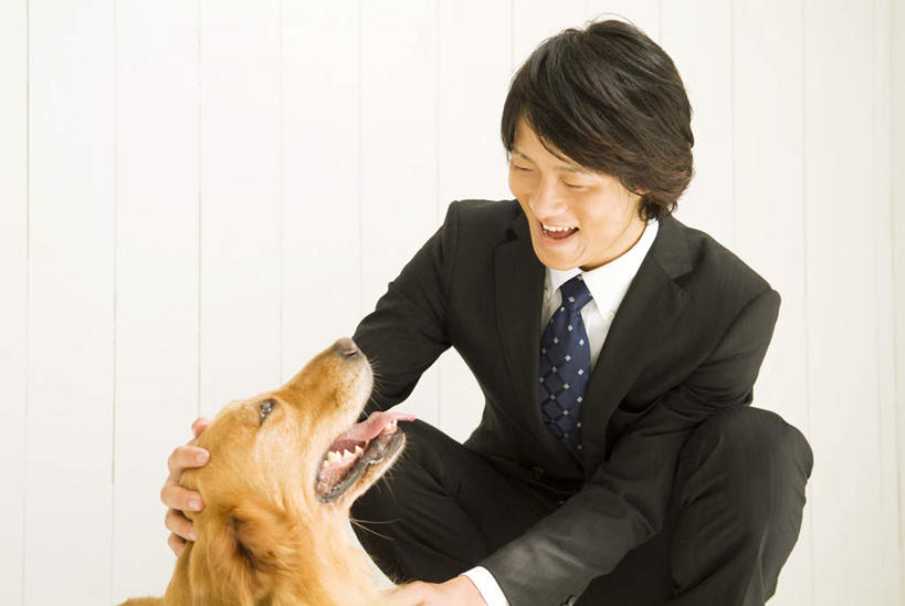 东方人,头发,一个人,商务人士,商务男性,蹲,笑,摸,微笑,露齿笑,横图,室内,白天,白色背景,正面,衬衫,宠物,狗,亚洲,仅一个男性,仅一个人,抚摸,套装,注视,黄种人,金毛犬,吐舌头,仅一个年轻男性,一只,黑色,动物,观察,看,张嘴,可爱,摄影,影棚,金毛,观看,察看,关注,寻回犬,商务装,张大嘴巴,工薪阶层,金毛寻回犬,忠诚,男人,男性,年轻男性,亚洲人,白领,上班族,张开嘴,犬,触摸,蹲着,接触,抬头,仰头,半身,彩图,影棚拍摄,衬衣,拍摄