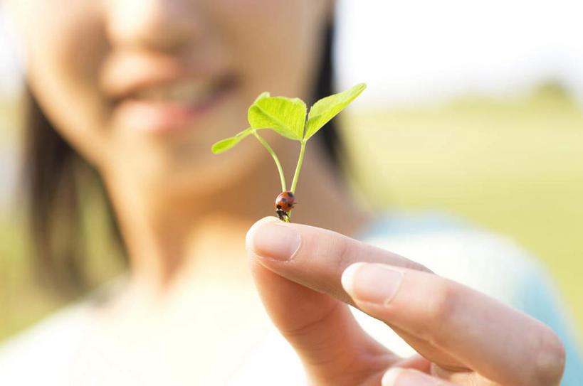 东方人,儿童,头发,一个人,站,举,笑,微笑,露齿笑,横图,室内,白天,正面,纯洁,草地,草坪,植物,叶子,亚洲,仅一个女性,仅一个人,握,阴影,服装,朦胧,模糊,光线,影子,绿叶,拿,拿着,注视,休闲装,黄种人,草,小孩,衣服,蓝色,绿色,白色,黑色,蓝天,天空,阳光,天,观察,看,托,站着,仅一个小孩,休闲,休闲服,嫩叶,可爱,童年,童趣,握着,服饰,观看,察看,关注,童真,烂漫,无邪,天真,女孩,女人,女性,亚洲人,孩子,长发,叶,叶片,举起,举手,举着,向上举,向上伸,向上托,站立,半身,彩图,女生