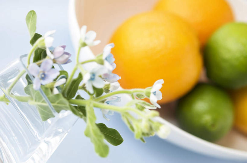 无人,横图,俯视,室内,特写,白天,植物,桌面,柑橘,餐具,水果,一堆,许多,阴影,堆叠,堆积,朦胧,模糊,新鲜,光线,碟子,盘,盆栽,影子,生食,食品,果实,盆景,食物,黄色,绿色,阳光,自然,盘子,碟,有机食品,绿色食品,生长,成长,堆,酸橙,橘子,桔子,橙子,橙,彩图,高角度拍摄