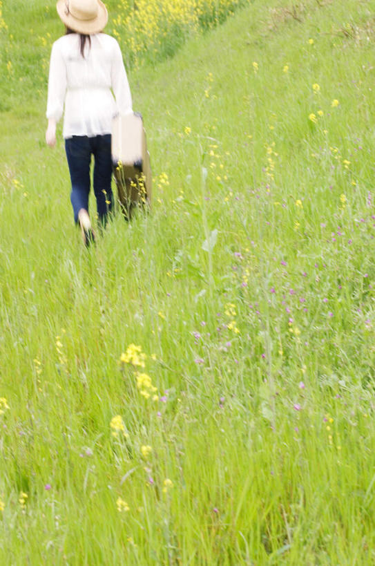 东方人,走,竖图,俯视,室外,白天,旅游,度假,草地,花海,花圃,植物,帽子,叶子,亚洲,握,盛开,草帽,拉杆箱,旅行箱,花蕾,黄种人,娱乐,草,花,花瓣,花朵,花卉,鲜花,黄色,绿色,行李箱,箱子,花丛,花束,花田,花苞,花蕊,享受,休闲,放松,握着,出差,亚洲人,步行,散步,走路,彩图,高角度拍摄,全身,旅行