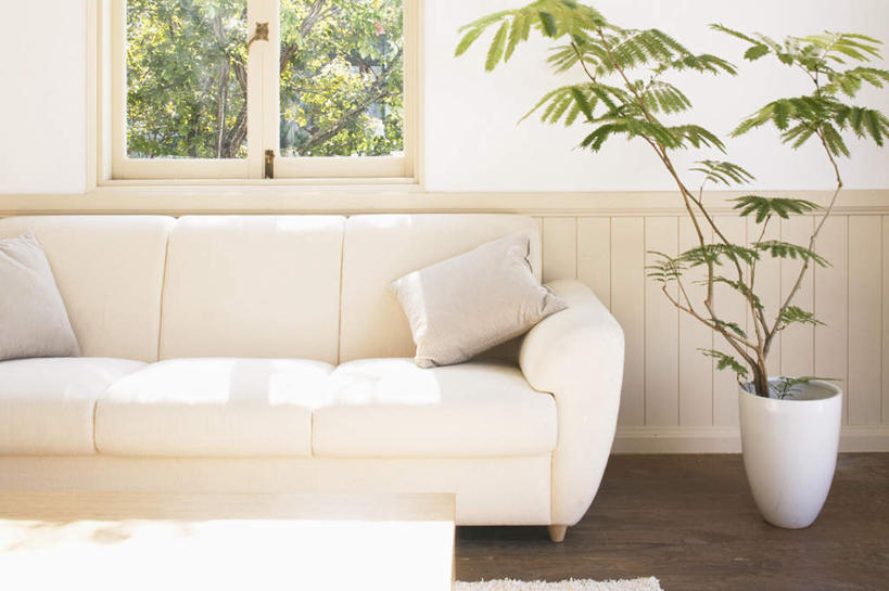 无人,客厅,横图,室内,白天,正面,树林,植物,餐桌,窗户,地板,靠垫,沙发,桌子,装饰,盆栽,墙,靠枕,盆景,地面,木地板,玻璃窗,墙壁,墙面,树,树木,两个,一个,绿色,白色,自然,抱枕,枕头,生长,单个,成长,餐台,华丽,修饰,点缀,起居室,布艺沙发,衬托,美观,雅致,雅观,彩图