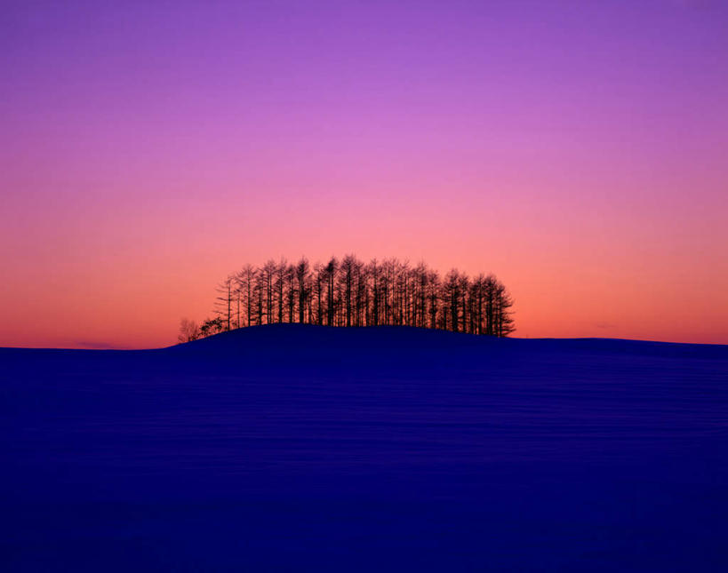 无人,横图,彩色,室外,白天,正面,旅游,度假,美景,日落,植物,景观,晚霞,霞光,背光,娱乐,树,树木,天空,自然,黄昏,天,享受,休闲,景色,彩霞,放松,寒冷,生长,成长,自然风光,逆光,严寒,夕阳,彩图