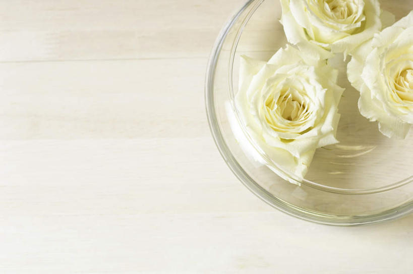 无人,横图,室内,特写,白天,白色背景,正面,爱情,幸福,纯洁,热情,植物,餐桌,桌子,玫瑰,静物,三朵,盛开,玫瑰花,浪漫,花,花瓣,花朵,花卉,鲜花,白色,花蕊,温暖,温馨,恩爱,摄影,影棚,餐台,和睦,感动,尊敬,天真,刺玫花,徘徊花,彩图,影棚拍摄,拍摄,融洽