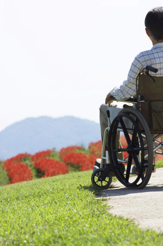 东方人,一个人,坐,竖图,室外,白天,草地,草坪,植物,道路,路,亚洲,仅一个男性,仅一个人,阴影,光线,工具,影子,小路,交通,黄种人,草,背面,绿色,阳光,轮椅,复健,仅一个老年男性,康复,器械,医疗设备,医疗器械,医疗工具,辅助设备,老年男性,男人,男性,亚洲人,坐着,半身,彩图