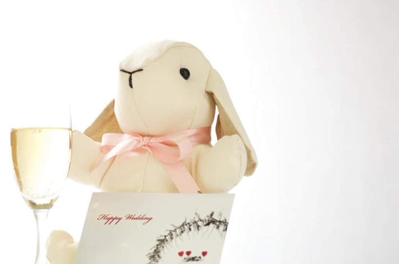 葡萄酒,无人,横图,室内,特写,白天,白色背景,正面,奢侈,游戏,快乐,哺乳动物,静物,杯子,玩具,英文,兔子,标志,高脚杯,文字,字符,字母,纸张,一杯,浪漫,玩,娱乐,标识,玻璃制品,酒,饮料,白色,动物,酒杯,卡片,香槟,休闲,益智,诱惑,摄影,影棚,活动,英文字母,兔,发泄,消遣,智力,香槟杯,宣泄,气泡酒,起泡酒,汽酒,玻璃杯,玩耍,嬉戏,彩图,影棚拍摄,高兴,欢笑,拍摄