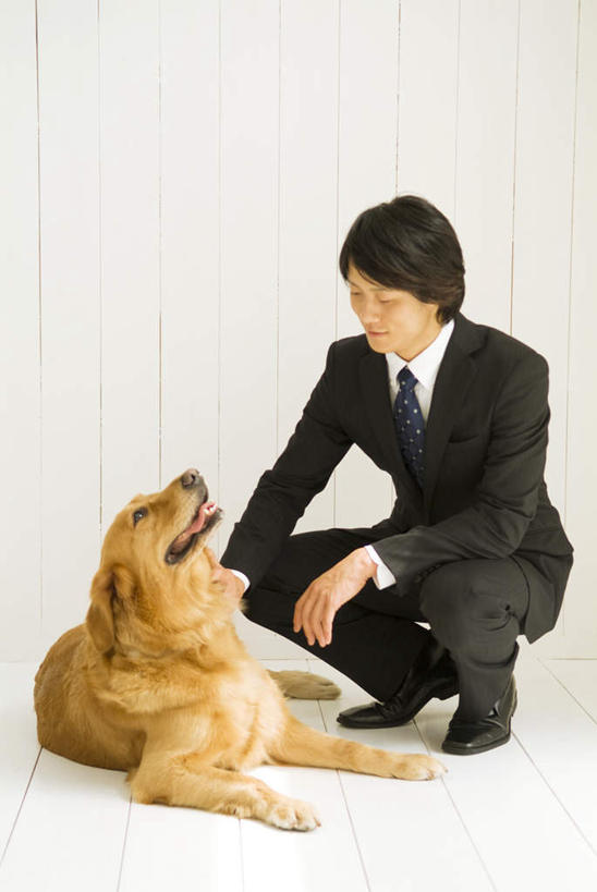 东方人,一个人,商务人士,商务男性,蹲,横图,室内,白天,白色背景,正面,衬衫,宠物,狗,亚洲,仅一个男性,仅一个人,套装,领带,注视,黄种人,金毛犬,仅一个年轻男性,一只,黄色,动物,观察,看,可爱,摄影,影棚,金毛,观看,察看,关注,寻回犬,商务装,工薪阶层,金毛寻回犬,忠诚,年轻男性,亚洲人,年轻人,白领,上班族,犬,蹲着,彩图,全身,影棚拍摄,衬衣,拍摄