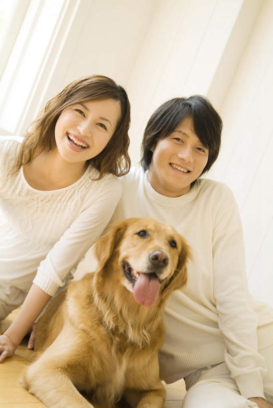 东方人,两个人,夫妻,坐,笑,微笑,露齿笑,竖图,室内,白天,正面,爱情,窗帘,亚洲,一条,服装,装饰,浪漫,注视,休闲装,黄种人,金毛犬,衣服,帘子,观察,看,休闲,休闲服,遮阳,恩爱,恋人,服饰,金毛,观看,华丽,修饰,点缀,察看,关注,寻回犬,金毛寻回犬,衬托,美观,雅致,雅观,男人,男性,年轻男性,年轻女性,女人,女性,亚洲人,夫妇,情侣,坐着,半身,彩图,伴侣