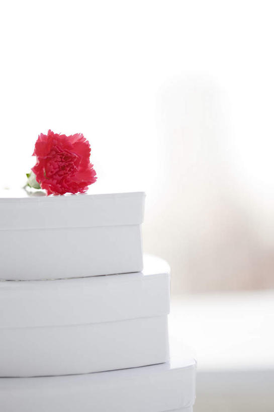 无人,竖图,室内,特写,白天,白色背景,正面,爱情,康乃馨,礼盒,礼物,爱心,朦胧,模糊,盛开,纸盒,浪漫,花蕾,盒子,花,花瓣,花朵,鲜花,三个,一朵,红色,包装盒,礼品盒,花苞,花蕊,温暖,温馨,心形,恩爱,摄影,礼品,影棚,和睦,麝香石竹,石竹,香石竹,心型,彩图,影棚拍摄,拍摄,融洽