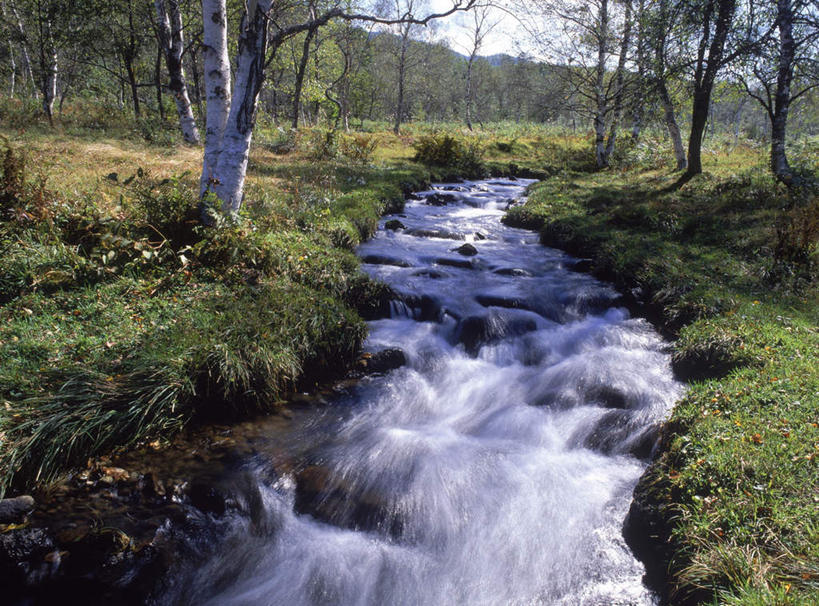 无人,横图,室外,白天,正面,旅游,度假,草地,草坪,河流,美景,树林,水,植物,长野县,日本,亚洲,阴影,湍急,光线,影子,河水,景观,水流,云,云朵,云彩,娱乐,草,树,树木,蓝色,绿色,白云,蓝天,天空,小溪,阳光,自然,天,溪水,享受,休闲,景色,放松,生长,晴朗,成长,自然风光,东亚,本州,本州岛,日本国,中部地方,长野,晴空,彩图