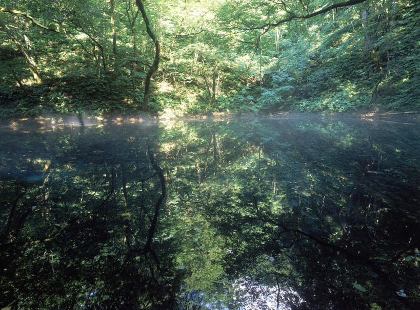 无人,横图,室外,白天,正面,旅游,度假,美景,树林,水,植物,日本,亚洲,阴影,光线,影子,景观,水面,娱乐,树,树木,绿色,倒影,阳光,自然,享受,休闲,景色,放松,生长,成长,自然风光,东亚,本州,本州岛,日本国,青森,青森县,东北地方,彩图