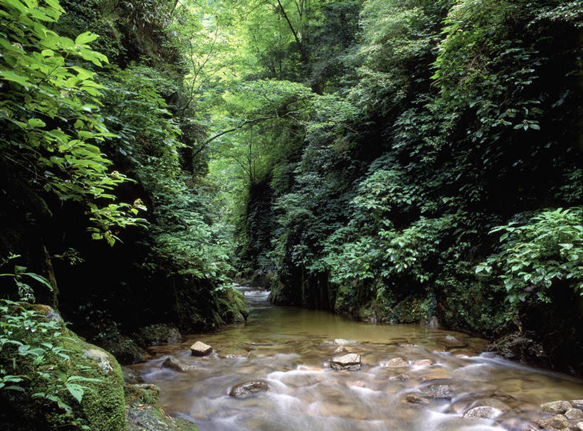 无人,横图,室外,白天,正面,旅游,度假,河流,礁石,石头,美景,树林,水,植物,日本,亚洲,石子,河水,景观,水流,娱乐,树,树木,绿色,自然,享受,休闲,景色,放松,生长,成长,自然风光,东亚,本州,本州岛,日本国,东北地方,福岛,福岛县,礁,石块,岩石,彩图