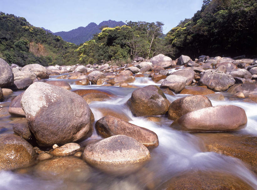 无人,横图,室外,白天,正面,旅游,度假,河流,石头,美景,森林,山,树林,水,植物,静冈县,日本,亚洲,阴影,光线,石子,影子,河水,景观,山峰,水流,山峦,娱乐,树,树木,绿色,小溪,阳光,自然,溪水,享受,休闲,景色,放松,生长,成长,自然风光,东亚,本州,本州岛,日本国,中部地方,静冈,石块,岩石,彩图