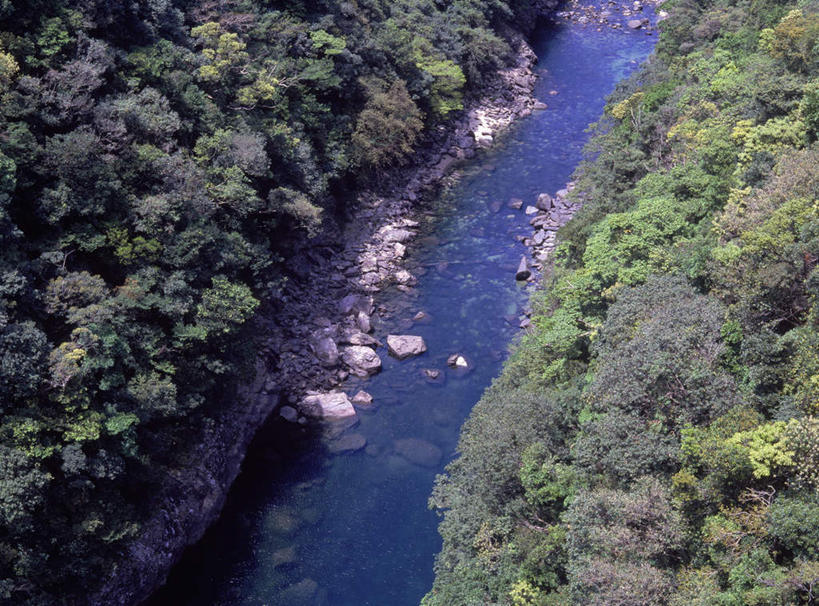 无人,横图,俯视,室外,白天,旅游,度假,河流,石头,美景,森林,树林,水,植物,鹿儿岛,日本,亚洲,石子,河水,景观,水流,娱乐,树,树木,绿色,小溪,自然,溪水,享受,休闲,景色,放松,生长,成长,自然风光,东亚,日本国,九州本岛,九州,九州岛,九州地方,鹿儿岛县,石块,岩石,彩图,高角度拍摄