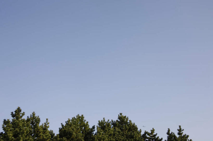 无人,横图,室外,白天,仰视,旅游,度假,美景,植物,东京,日本,亚洲,阴影,光线,影子,景观,娱乐,树,树木,蓝色,绿色,蓝天,天空,阳光,自然,天,享受,休闲,景色,放松,生长,成长,自然风光,东亚,本州,关东地方,本州岛,日本国,东京都,彩图,低角度拍摄