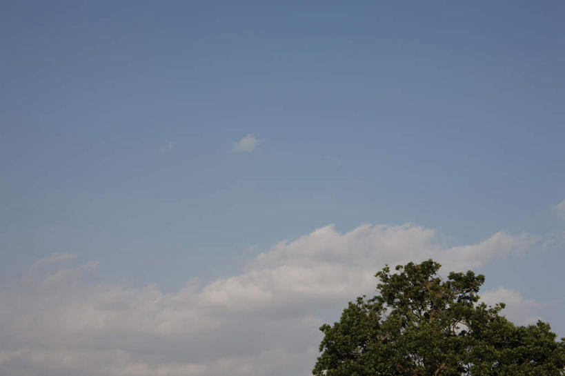 无人,横图,室外,白天,仰视,旅游,度假,美景,植物,东京,日本,亚洲,阴影,光线,影子,景观,云,云朵,云彩,娱乐,树,树木,蓝色,绿色,白云,蓝天,天空,阳光,自然,天,享受,休闲,景色,放松,生长,成长,自然风光,东亚,本州,关东地方,本州岛,日本国,东京都,彩图,低角度拍摄