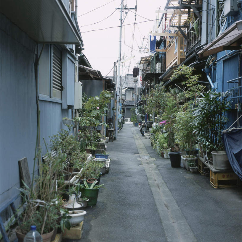 无人,家,竖图,室外,白天,正面,旅游,度假,美景,植物,城市风光,标志建筑,城市,道路,地标,建筑,路,东京,日本,亚洲,盆栽,房屋,屋子,景观,公寓,小路,分界线,盆景,停车线,交通,娱乐,建设,洋房,楼房,住宅,绿色,自然,享受,休闲,景色,放松,生长,成长,车行道,车行道分界线,标线,东亚,车行线,本州,关东地方,本州岛,日本国,东京都,彩图,房子