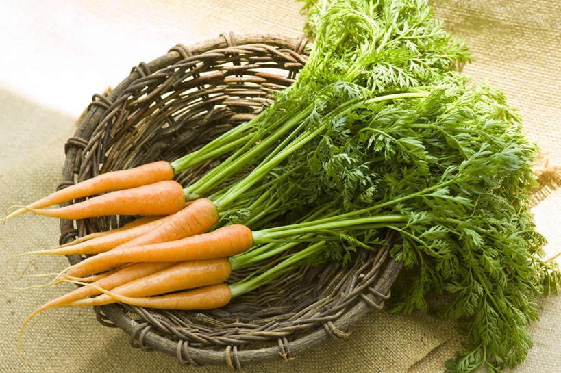 无人,横图,俯视,室内,特写,白天,地板,萝卜,胡萝卜,蔬菜,叶子,一堆,许多,阴影,堆叠,堆积,新鲜,篮子,影子,食品,绿叶,地面,木地板,食物,阳光,橙色,嫩叶,有机食品,绿色食品,堆,叶,叶片,红萝卜,甘荀,彩图,高角度拍摄