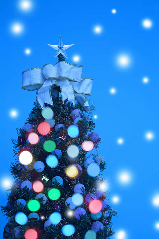 无人,竖图,室内,特写,白天,正面,数码,科技,植物,照明,圣诞节,一棵,阴影,蓝色背景,节日,庆祝,网络,彩灯,星星,灯光,圣诞树,高光,几何,计算机图形,合成,文化,灯,树,树木,绿色,自然,灯具,庆典,花灯,生长,成长,纪念,照亮,电脑合成图,数码合成图,恒星,照明设备,写实,具体,具象,彩图