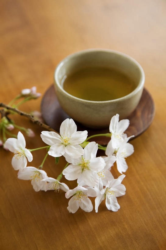 无人,竖图,俯视,室内,特写,白天,幸福,餐桌,茶,桌子,樱花,杯子,餐具,盛开,碟子,盘,茶道,茶叶,一杯,花蕾,文化,娱乐,花,花瓣,花朵,鲜花,粉色,盘子,水杯,碟,花苞,花蕊,享受,休闲,温馨,放松,乐趣,摄影,影棚,餐台,茶艺,环境,提神,舒适,醒脑,东亚文化,礼法,修行,仙樱花,福岛樱,青肤樱,茶杯,荆桃,彩图,高角度拍摄,影棚拍摄,拍摄,茶文化