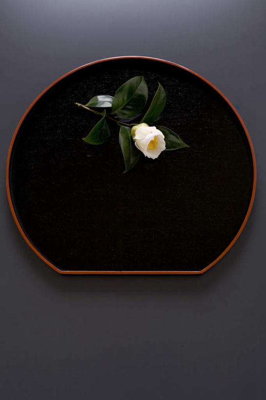 无人,竖图,俯视,室内,特写,白天,植物,桌面,桌子,山茶花,叶子,托盘,黑色背景,绿叶,花蕾,花瓣,花朵,花卉,鲜花,一朵,白色,花苞,嫩叶,摄影,影棚,玉茗花,耐冬,海石榴,茶花,叶,叶片,彩图,高角度拍摄,影棚拍摄,拍摄