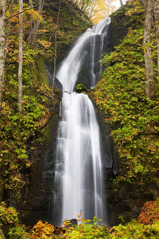 无人,竖图,室外,白天,仰视,旅游,度假,美景,瀑布,森林,树林,水,植物,日本,亚洲,飞溅,溅,液体,景观,水滴,娱乐,水珠,树,树木,绿色,自然,享受,休闲,景色,放松,生长,成长,喷洒,自然风光,东亚,本州,本州岛,日本国,青森,青森县,东北地方,跌水,彩图,低角度拍摄