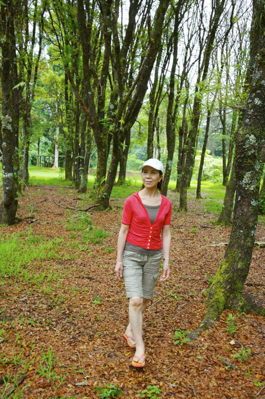 东方人,一个人,站,走,笑,微笑,竖图,室外,白天,正面,森林,树林,植物,帽子,亚洲,仅一个年轻女性,仅一个女性,仅一个人,服装,注视,休闲装,黄种人,树,树木,衣服,红色,绿色,黑色,自然,遮阳帽,观察,看,站着,休闲,休闲服,服饰,生长,成长,观看,察看,关注,年轻女性,女人,女性,亚洲人,长发,步行,散步,站立,走路,彩图,全身