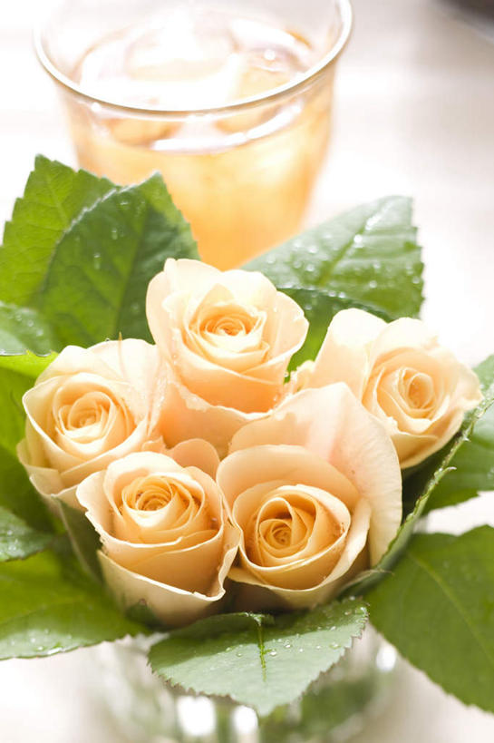 无人,竖图,俯视,室内,特写,白天,爱情,幸福,纯洁,热情,植物,玫瑰,叶子,许多,盛开,绿叶,玫瑰花,浪漫,花,花瓣,花朵,花卉,鲜花,花蕊,温暖,温馨,橙色,嫩叶,恩爱,摄影,影棚,和睦,感动,尊敬,天真,刺玫花,徘徊花,叶,叶片,彩图,高角度拍摄,影棚拍摄,拍摄,融洽