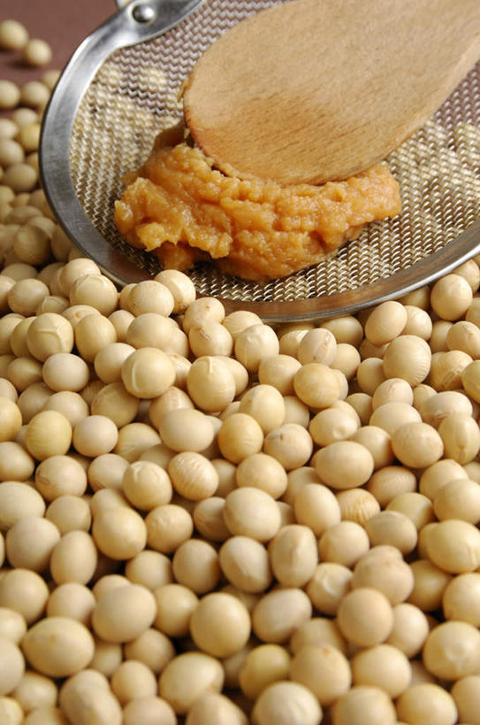 无人,竖图,俯视,室内,特写,白天,植物,豆,大豆,蔬菜,一堆,许多,堆叠,堆积,朦胧,模糊,新鲜,散落,木制,铲子,木盒,豆类,豆子,调料,食品,调味品,调味料,食物,黄色,木制品,容器,摄影,有机食品,绿色食品,影棚,储藏,堆,储存,豆科,黄豆,彩图,高角度拍摄,影棚拍摄,拍摄,贮存