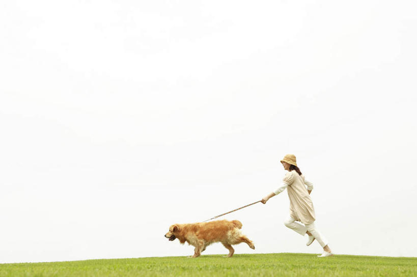 东方人,一个人,跑,横图,室外,白天,侧面,锻炼,运动,草地,草坪,植物,宠物,狗,帽子,亚洲,仅一个女性,仅一个人,握,服装,云,云朵,云彩,注视,休闲装,黄种人,金毛犬,草,一只,衣服,黄色,蓝色,绿色,白云,蓝天,天空,动物,遮阳帽,天,观察,看,仅一个中年女性,休闲,休闲服,可爱,握着,服饰,金毛,观看,察看,关注,寻回犬,金毛寻回犬,牵引绳,忠诚,体育,女人,女性,中年女性,亚洲人,犬,跑步,彩图,全身,健身