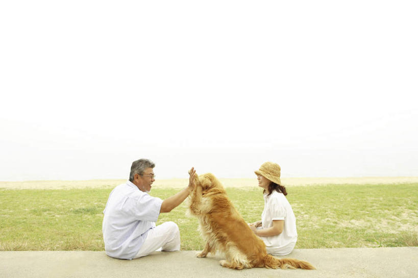 东方人,两个人,家庭,夫妻,坐,笑,摸,微笑,露齿笑,横图,室外,白天,侧面,爱情,旅游,度假,草地,草坪,植物,道路,路,帽子,亚洲,抚摸,阴影,服装,光线,影子,小路,交通,浪漫,注视,休闲装,黄种人,娱乐,金毛犬,相视,草,一只,衣服,黄色,蓝色,绿色,白色,蓝天,天空,阳光,遮阳帽,天,观察,看,享受,休闲,温暖,温馨,一家人,面对面,休闲服,恩爱,放松,恋人,服饰,乡间小路,金毛,观看,对视,和睦,察看,关注,寻回犬,相对,金毛寻回犬,相看,一顶,老年男性,老年女性,男人,男性,女人,女性,亚洲人,夫妇,情侣,触摸,接触,坐着,彩图,全身,伴侣,融洽