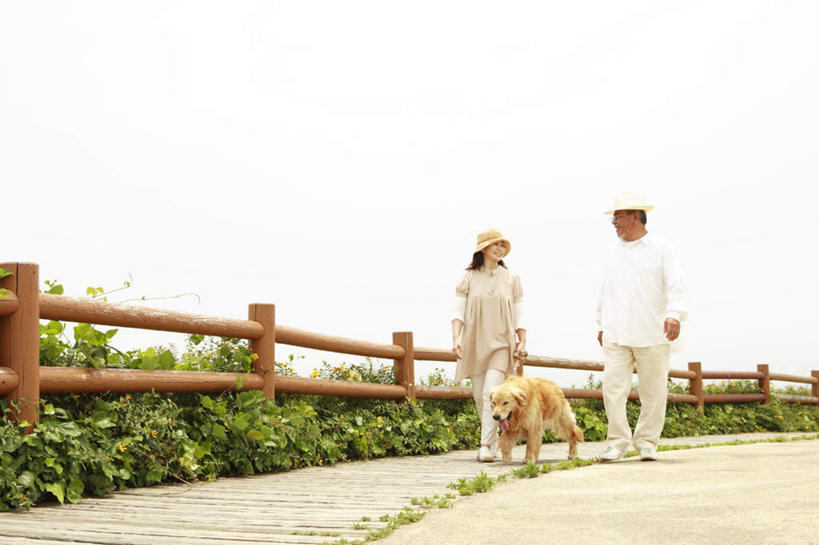 两个人,家庭,夫妻,栏杆,站,走,笑,微笑,露齿笑,横图,室外,白天,正面,爱情,旅游,度假,草地,草坪,植物,道路,路,帽子,阴影,服装,光线,影子,栅栏,篱笆,围栏,小路,交通,浪漫,扭头,注视,休闲装,娱乐,金毛犬,护栏,相视,草,一只,衣服,黄色,蓝色,绿色,白色,蓝天,天空,阳光,遮阳帽,天,观察,看,站着,转头,享受,休闲,温暖,温馨,一家人,面对面,休闲服,恩爱,放松,恋人,服饰,乡间小路,金毛,观看,对视,和睦,察看,关注,寻回犬,相对,金毛寻回犬,相看,一顶,老年男性,老年女性,男人,男性,女人,女性,夫妇,情侣,步行,散步,站立,走路,彩图,全身,伴侣,融洽