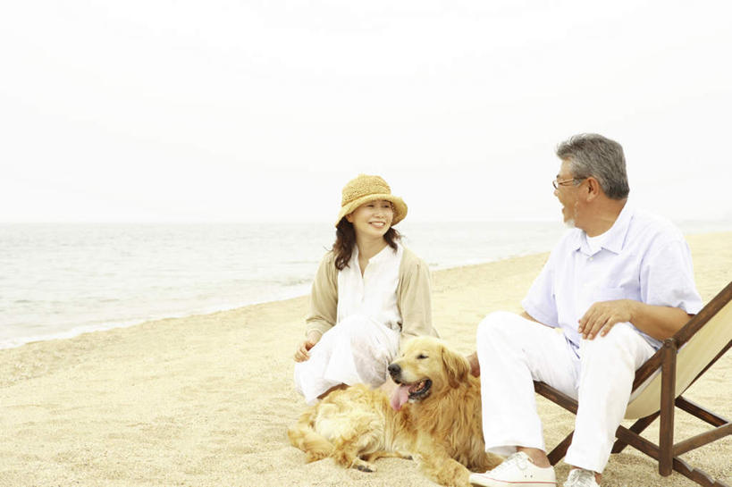 东方人,两个人,家庭,夫妻,坐,笑,摸,微笑,露齿笑,横图,室外,白天,正面,爱情,旅游,度假,海浪,海洋,沙滩,宠物,狗,帽子,椅子,亚洲,抚摸,阴影,波纹,服装,光线,沙子,影子,躺椅,海岸,浪花,云,云朵,沙地,浪漫,云彩,注视,休闲装,黄种人,娱乐,金毛犬,一只,衣服,黄色,蓝色,白色,白云,蓝天,水纹,天空,阳光,海水,动物,遮阳帽,波浪,天,观察,看,靠,靠着,倚靠,享受,休闲,温暖,温馨,一家人,休闲服,恩爱,放松,可爱,恋人,服饰,金毛,观看,沙滩椅,和睦,察看,倚着,关注,寻回犬,海景,金毛寻回犬,忠诚,一顶,老年男性,老年女性,男人,男性,女人,女性,亚洲人,夫妇,情侣,大海,风浪,海,海水的波动,海滩,近岸浪,涌浪,犬,触摸,接触,坐着,彩图,全身,伴侣,融洽