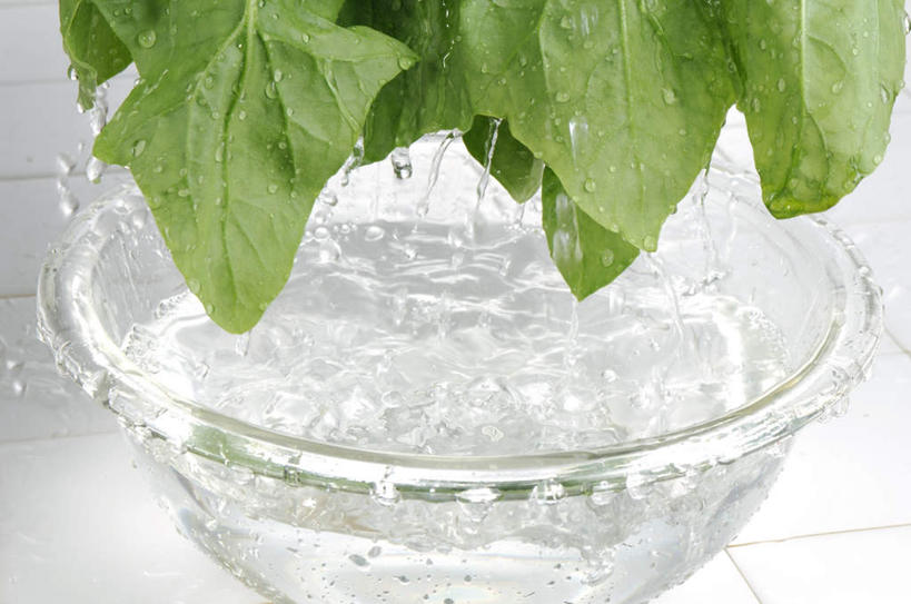 无人,横图,俯视,室内,白天,水,菠菜,蔬菜,餐具,叶子,阴影,波纹,新鲜,光线,瓷砖,地砖,碟子,盘,液体,影子,水滴,食品,绿叶,地面,食物,水纹,阳光,盘子,碟,波浪,嫩叶,有机食品,绿色食品,叶,叶片,鹦鹉菜,鼠根菜,角菜,红嘴绿鹦哥,赤根菜,菠薐菜,波斯草,彩图,高角度拍摄