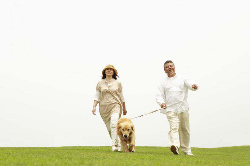 两个人,家庭,夫妻,站,走,笑,摸,微笑,露齿笑,横图,室外,白天,正面,爱情,旅游,度假,草地,草坪,植物,宠物,狗,帽子,抚摸,牵,握,阴影,服装,光线,影子,云,云朵,浪漫,云彩,休闲装,娱乐,金毛犬,草,一只,衣服,黄色,蓝色,绿色,白色,白云,蓝天,天空,阳光,动物,遮阳帽,天,站着,张嘴,享受,休闲,温暖,温馨,一家人,休闲服,恩爱,放松,可爱,握着,恋人,服饰,金毛,牵着,和睦,寻回犬,张大嘴巴,金毛寻回犬,忠诚,一顶,老年男性,老年女性,男人,男性,女人,女性,夫妇,情侣,张开嘴,犬,步行,触摸,接触,散步,站立,走路,彩图,全身,伴侣,融洽