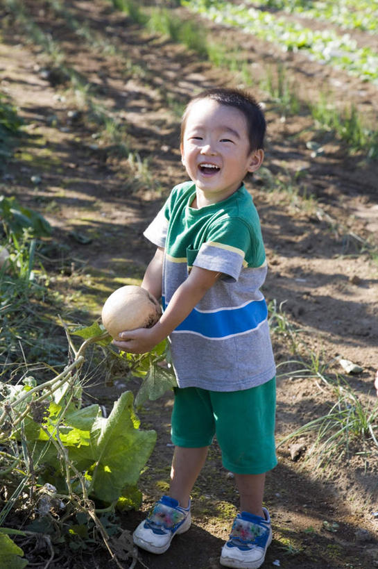东方人,儿童,头发,一个人,农田,站,捧,笑,摸,微笑,露齿笑,竖图,俯视,室外,白天,旅游,度假,纯洁,庄稼,农作物,南瓜,蔬菜,叶子,亚洲,仅一个男性,仅一个人,抚摸,握,阴影,服装,新鲜,光线,影子,金瓜,食品,绿叶,地面,拿,拿着,注视,休闲装,黄种人,娱乐,番瓜,食物,一个,小孩,衣服,绿色,白色,黑色,阳光,观察,看,站着,张嘴,仅一个小孩,享受,休闲,球体,休闲服,嫩叶,放松,可爱,童年,童趣,握着,服饰,有机食品,绿色食品,单个,观看,麦瓜,倭瓜,察看,关注,张大嘴巴,童真,烂漫,无邪,天真,男孩,男人,男性,亚洲人,孩子,叶,叶片,张开嘴,触摸,端,端着,接触,捧着,手捧,站立,彩图,高角度拍摄,全身,耕地,庄稼田,男生