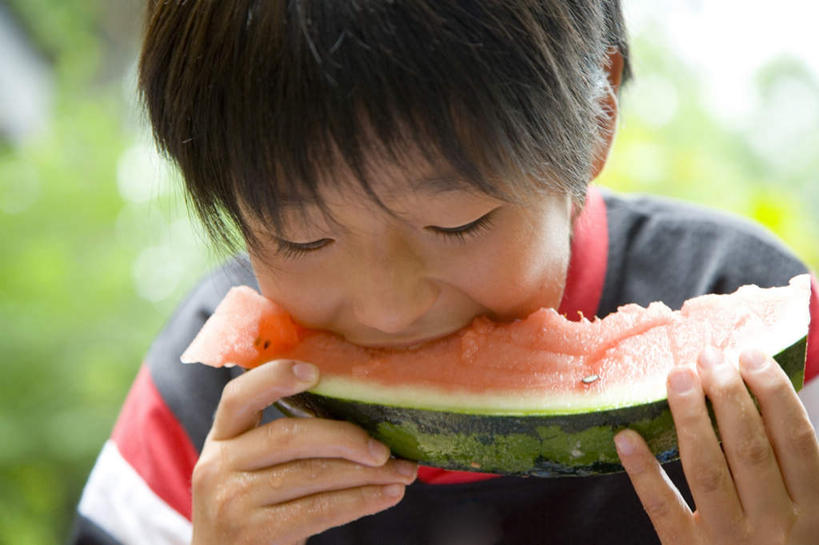 东方人,儿童,头发,一个人,农田,站,捧,笑,摸,吃,微笑,露齿笑,横图,室外,白天,正面,旅游,度假,纯洁,庄稼,农作物,草地,草坪,植物,西瓜,亚洲,仅一个男性,仅一个人,一块,抚摸,切开,握,咬,条纹,服装,拿,拿着,注视,休闲装,黄种人,娱乐,草,树,树木,小孩,衣服,红色,绿色,黑色,灰色,自然,低头,观察,看,切,站着,张嘴,仅一个小孩,享受,休闲,休闲服,放松,可爱,童年,童趣,握着,服饰,生长,成长,观看,咬着,察看,关注,剖面,张大嘴巴,童真,烂漫,无邪,切面,天真,男孩,男人,男性,亚洲人,孩子,张开嘴,寒瓜,触摸,端,端着,接触,嚼,捧着,食,手捧,站立,半身,彩图,耕地,庄稼田,男生