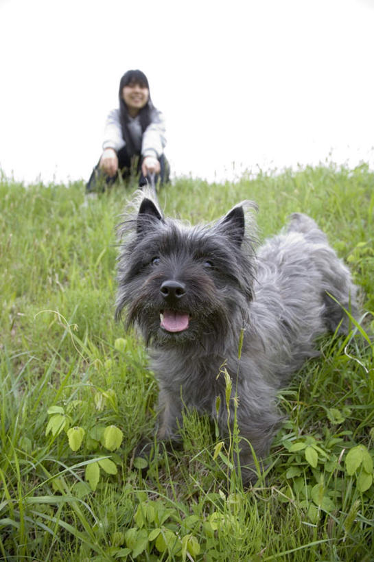 东方人,一个人,坐,笑,微笑,露齿笑,竖图,室外,白天,正面,旅游,度假,草地,草坪,植物,宠物,狗,亚洲,仅一个年轻女性,仅一个女性,仅一个人,阴影,服装,光线,影子,注视,休闲装,黄种人,娱乐,吐舌头,草,一只,衣服,蓝色,绿色,白色,黑色,蓝天,天空,阳光,动物,天,观察,看,享受,休闲,休闲服,放松,可爱,服饰,晴朗,观看,察看,关注,忠诚,万里无云,年轻女性,女人,女性,亚洲人,晴空,晴空万里,犬,坐着,彩图,全身