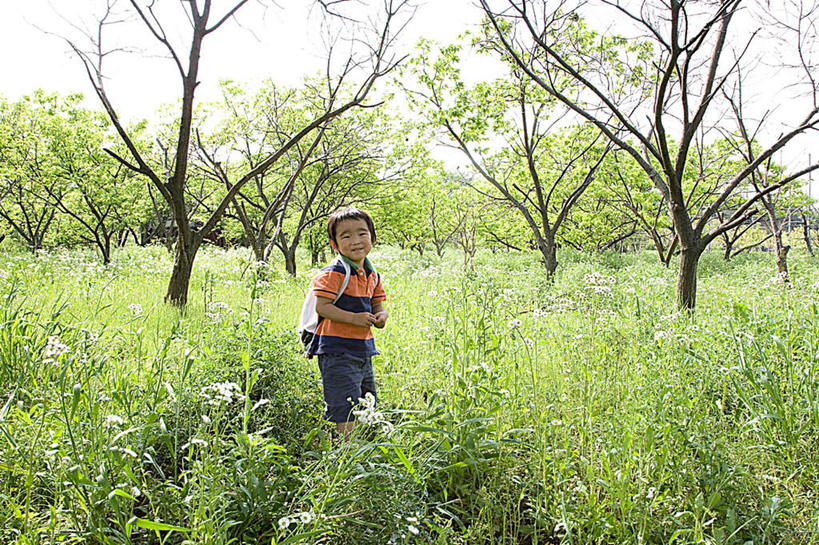 东方人,儿童,头发,一个人,站,笑,微笑,露齿笑,横图,室外,白天,正面,旅游,度假,纯洁,草地,草坪,植物,亚洲,仅一个男性,仅一个人,阴影,服装,光线,影子,云,云朵,云彩,扭头,注视,休闲装,黄种人,娱乐,草,树,树木,小孩,衣服,黄色,蓝色,绿色,黑色,白云,蓝天,天空,阳光,自然,天,观察,看,站着,转头,仅一个小孩,享受,休闲,休闲服,放松,可爱,童年,童趣,服饰,生长,成长,观看,察看,关注,童真,烂漫,无邪,天真,男孩,男人,男性,亚洲人,孩子,站立,彩图,全身,男生