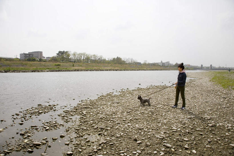 东方人,一个人,家,站,摸,横图,室外,白天,侧面,旅游,度假,草地,草坪,河流,石头,水,植物,宠物,狗,亚洲,仅一个年轻女性,仅一个女性,仅一个人,抚摸,牵,握,阴影,服装,光线,石子,影子,房屋,屋子,河水,水流,云,云朵,云彩,注视,休闲装,黄种人,娱乐,楼房,住宅,草,树,树木,一只,衣服,蓝色,绿色,黑色,白云,蓝天,天空,阳光,自然,动物,天,观察,看,站着,享受,休闲,休闲服,放松,可爱,握着,服饰,生长,成长,观看,牵着,察看,关注,忠诚,年轻女性,女人,女性,亚洲人,石块,犬,触摸,接触,站立,彩图,全身,房子