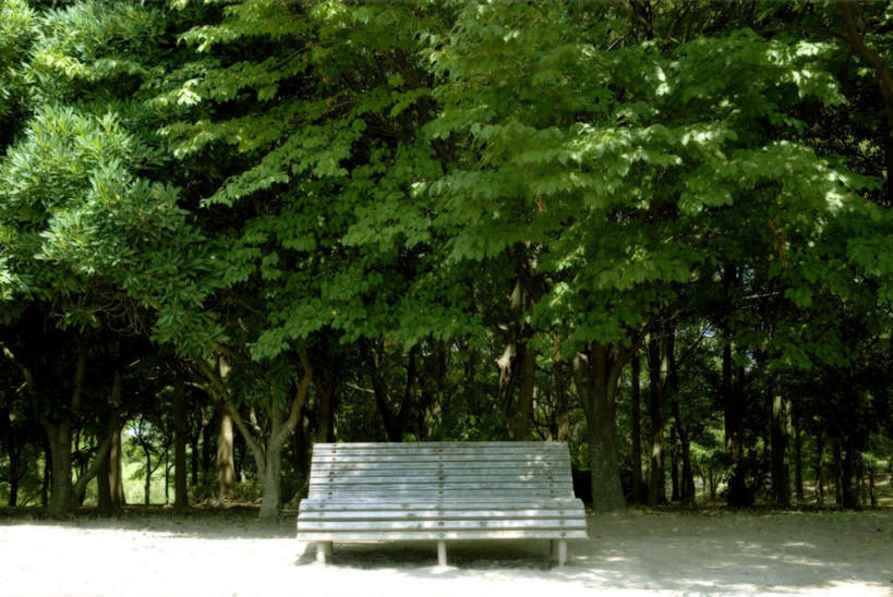 无人,横图,室外,白天,正面,旅游,度假,草地,草坪,美景,植物,道路,路,椅子,日本,亚洲,阴影,光线,影子,长椅,木椅,景观,小路,交通,娱乐,草,树,树木,绿色,阳光,自然,享受,休闲,景色,放松,大阪,乡间小路,生长,成长,自然风光,东亚,本州,大阪府,本州岛,日本国,近畿地方,近畿,彩图