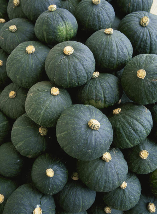 无人,竖图,俯视,室内,白天,南瓜,蔬菜,一堆,许多,阴影,堆叠,堆积,新鲜,光线,影子,金瓜,食品,番瓜,食物,绿色,阳光,球体,有机食品,绿色食品,堆,麦瓜,倭瓜,彩图,高角度拍摄