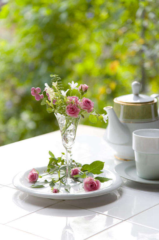 无人,竖图,俯视,室外,白天,爱情,旅游,度假,幸福,纯洁,热情,植物,餐桌,桌子,玫瑰,杯子,餐具,阴影,盛开,光线,碟子,壶,盘,影子,玫瑰花,浪漫,花蕾,娱乐,水壶,花,花瓣,花朵,鲜花,树,树木,一个,粉色,绿色,阳光,自然,盘子,茶壶,水杯,碟,花苞,花蕊,享受,休闲,温暖,温馨,恩爱,放松,生长,单个,成长,餐台,和睦,感动,尊敬,天真,刺玫花,徘徊花,茶杯,彩图,高角度拍摄,融洽