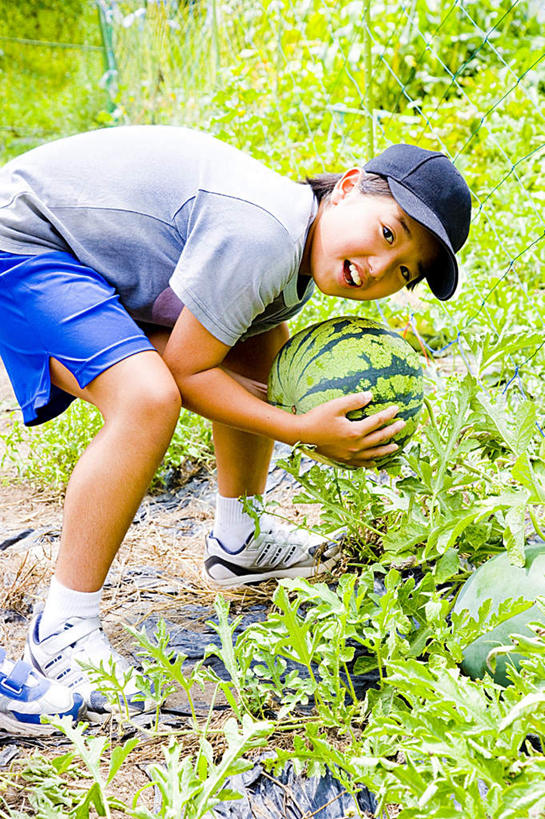 东方人,儿童,一个人,农田,站,捧,笑,摸,微笑,露齿笑,竖图,俯视,室外,白天,旅游,度假,纯洁,庄稼,农作物,草地,草坪,植物,西瓜,帽子,水果,亚洲,仅一个男性,仅一个人,抚摸,弯腰,握,阴影,条纹,服装,新鲜,光线,影子,生食,食品,果实,拿,拿着,扭头,注视,休闲装,黄种人,娱乐,运动帽,草,食物,一个,小孩,衣服,绿色,灰色,阳光,低头,观察,看,站着,转头,仅一个小孩,享受,休闲,球体,休闲服,鸭舌帽,放松,可爱,童年,童趣,握着,服饰,有机食品,绿色食品,单个,观看,察看,关注,童真,烂漫,无邪,弯身,一顶,天真,男孩,男人,男性,亚洲人,孩子,寒瓜,触摸,端,端着,接触,捧着,手捧,站立,彩图,高角度拍摄,全身,耕地,庄稼田,男生