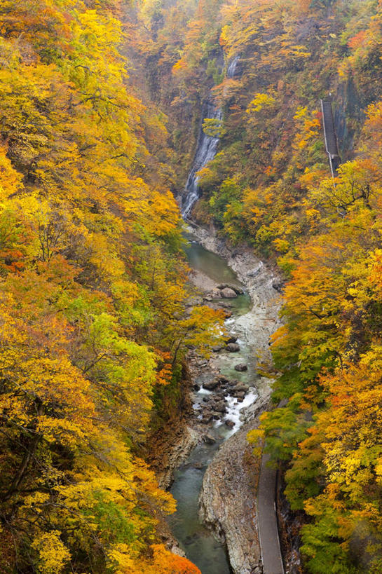 无人,竖图,俯视,室外,白天,旅游,度假,草地,草坪,河流,礁石,石头,美景,山,山脉,水,植物,秋田县,日本,亚洲,阴影,波纹,光线,石子,影子,河水,景观,山峰,水流,山峦,娱乐,草,树,树木,黄色,绿色,水纹,阳光,自然,波浪,群山,享受,休闲,景色,放松,流动,生长,成长,自然风光,东亚,本州,本州岛,日本国,秋田,东北地方,礁,石块,岩石,彩图,高角度拍摄