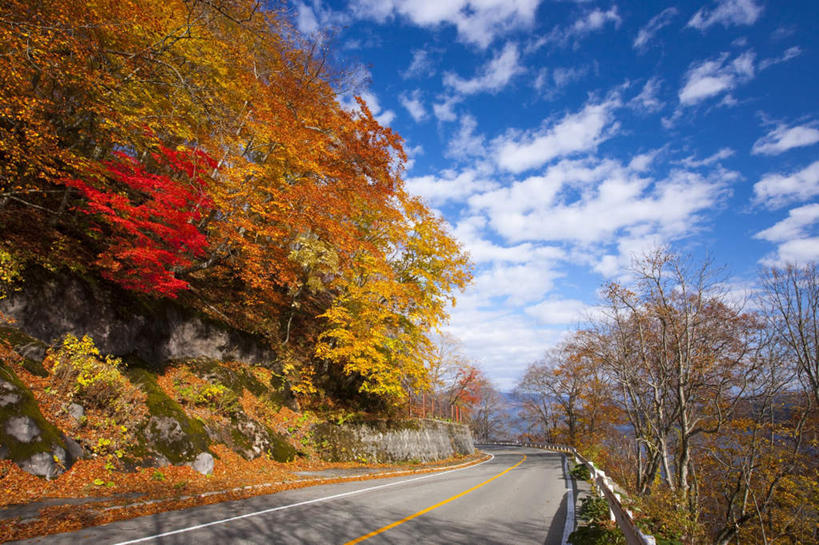 无人,横图,俯视,室外,白天,旅游,度假,草地,草坪,湖,湖泊,美景,水,植物,道路,路,秋田县,日本,亚洲,阴影,光线,影子,湖面,景观,水流,水面,云,云朵,小路,分界线,停车线,交通,云彩,娱乐,草,树,树木,蓝色,绿色,白云,蓝天,天空,阳光,自然,湖水,天,享受,休闲,景色,放松,乡间小路,生长,成长,车行道,车行道分界线,自然风光,标线,东亚,车行线,本州,本州岛,日本国,秋田,东北地方,彩图,高角度拍摄